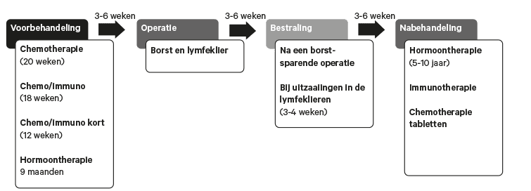 Schema poliklinische afspraken in geval van neo-adjuvante systeemtherapie