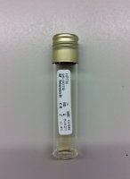Helicobacter pylori transport medium