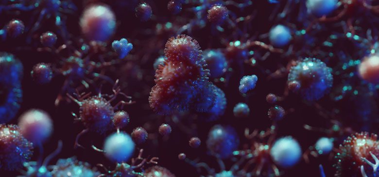 Virussen en bacteriën