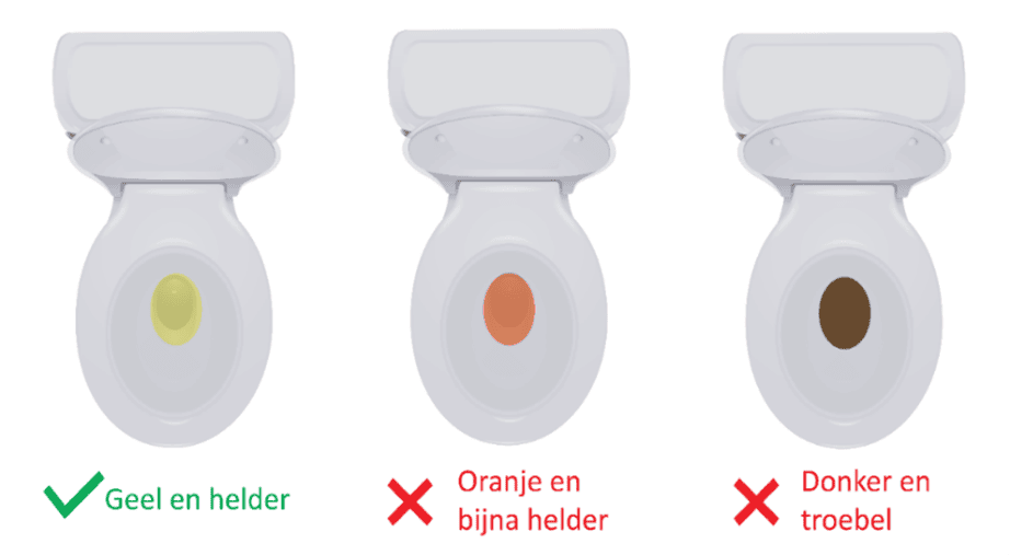 Als uw ontlasting geel water is (zoals op het plaatje), zijn uw darmen schoon.