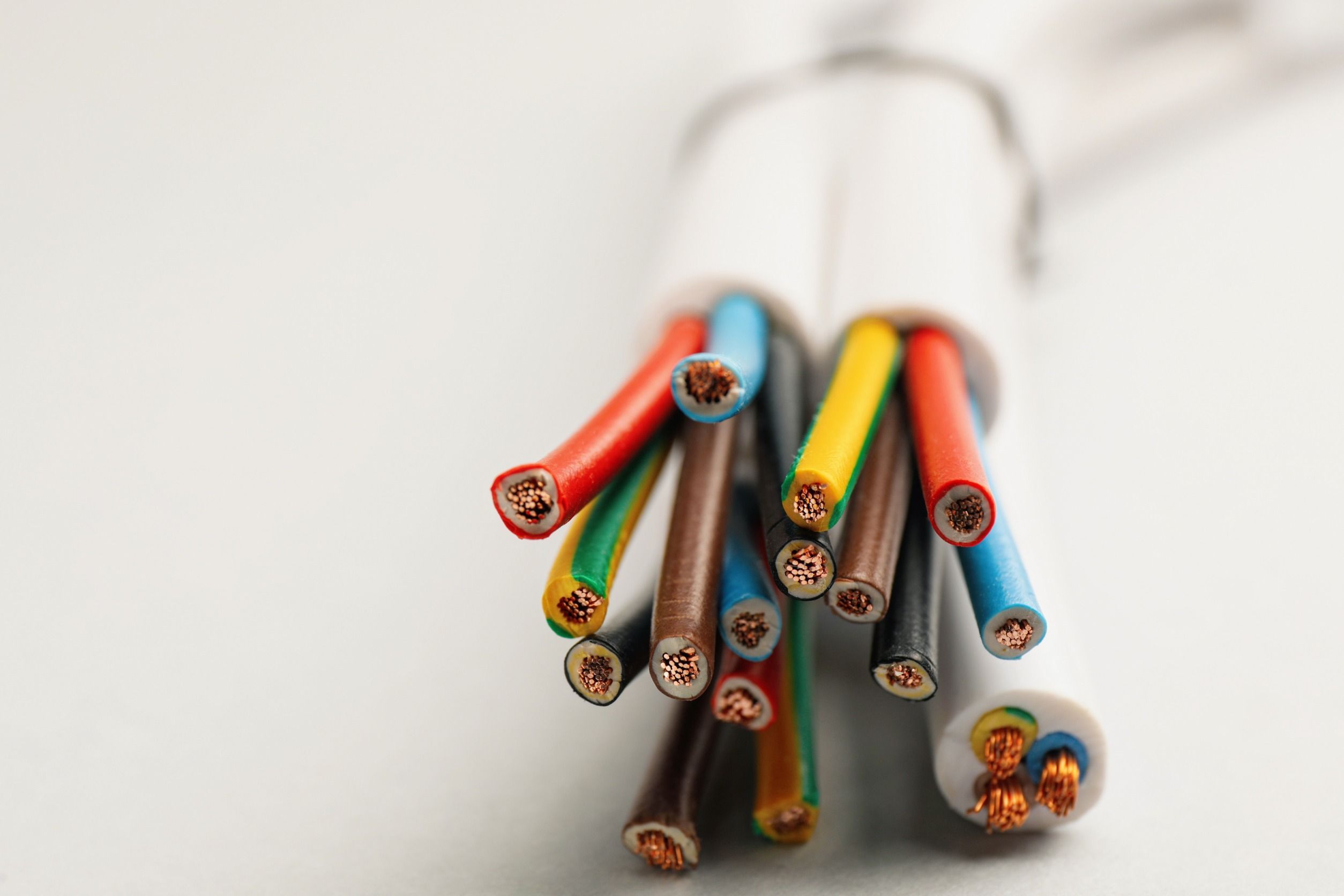 Figuur 2: De structuur van een zenuw lijkt op die van een elektriciteitskabel