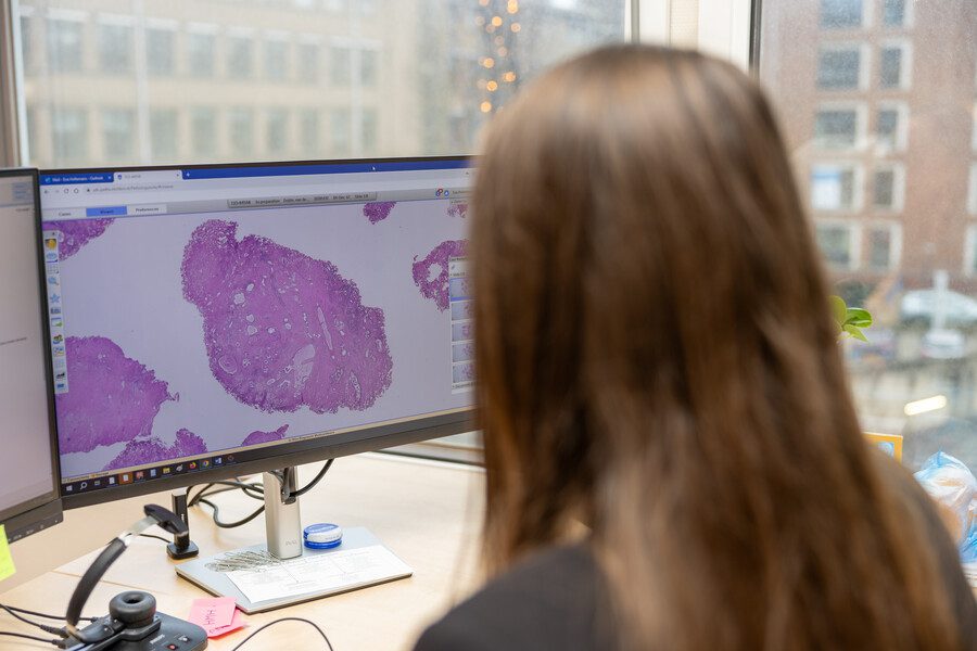 pathologie