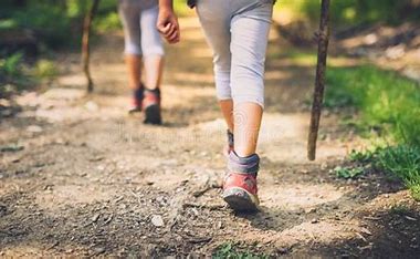 Wandelen Haagse Bos