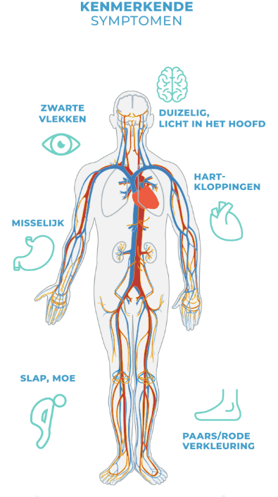 Kenmerkende symptomen van POTS: zwarte vlekken,; duizelig, licht in het hoofd; hartkloppingen; misselijkheid; slap, moe; paars/rode verkleuring (benen, voeten)