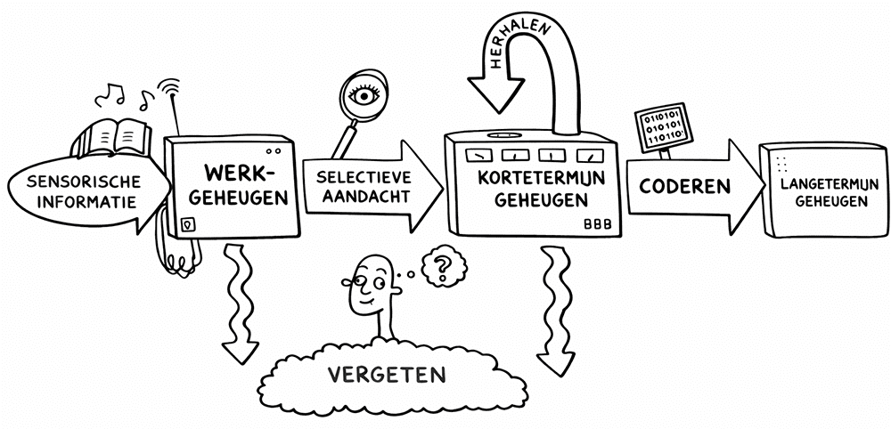 werkgeheugen, korte termijn geheugen en lange termijn geheugen